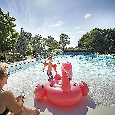In Limburg With Subtropical Pool Hotel Roggel