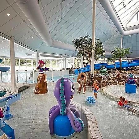 Hotel In Limburg With Subtropical Pool Roggel